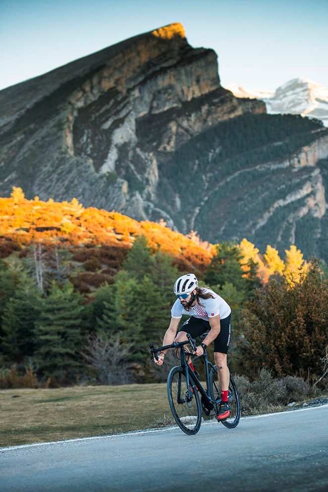 préventif Caffélatex Effetto Mariposa